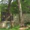 pension